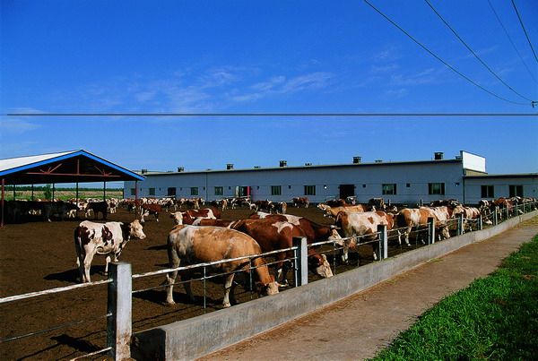 畜牧行业工业物联网发展概况介绍