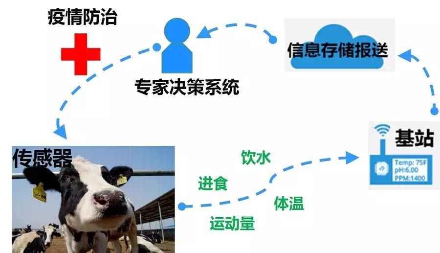 物联网方案解决畜牧养殖中的问题